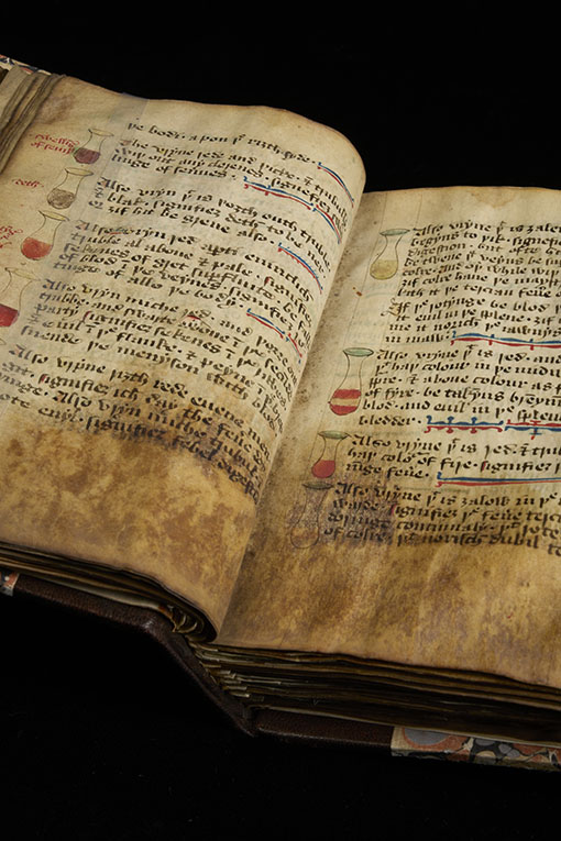 Medieval Medical Recipes
